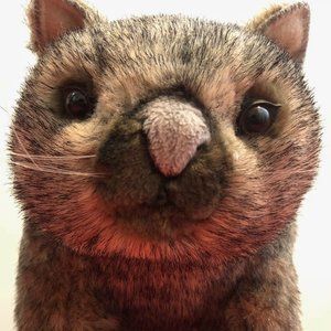 Meet your Posher, Brigid